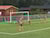 G19 SLO GIMSE 4-3